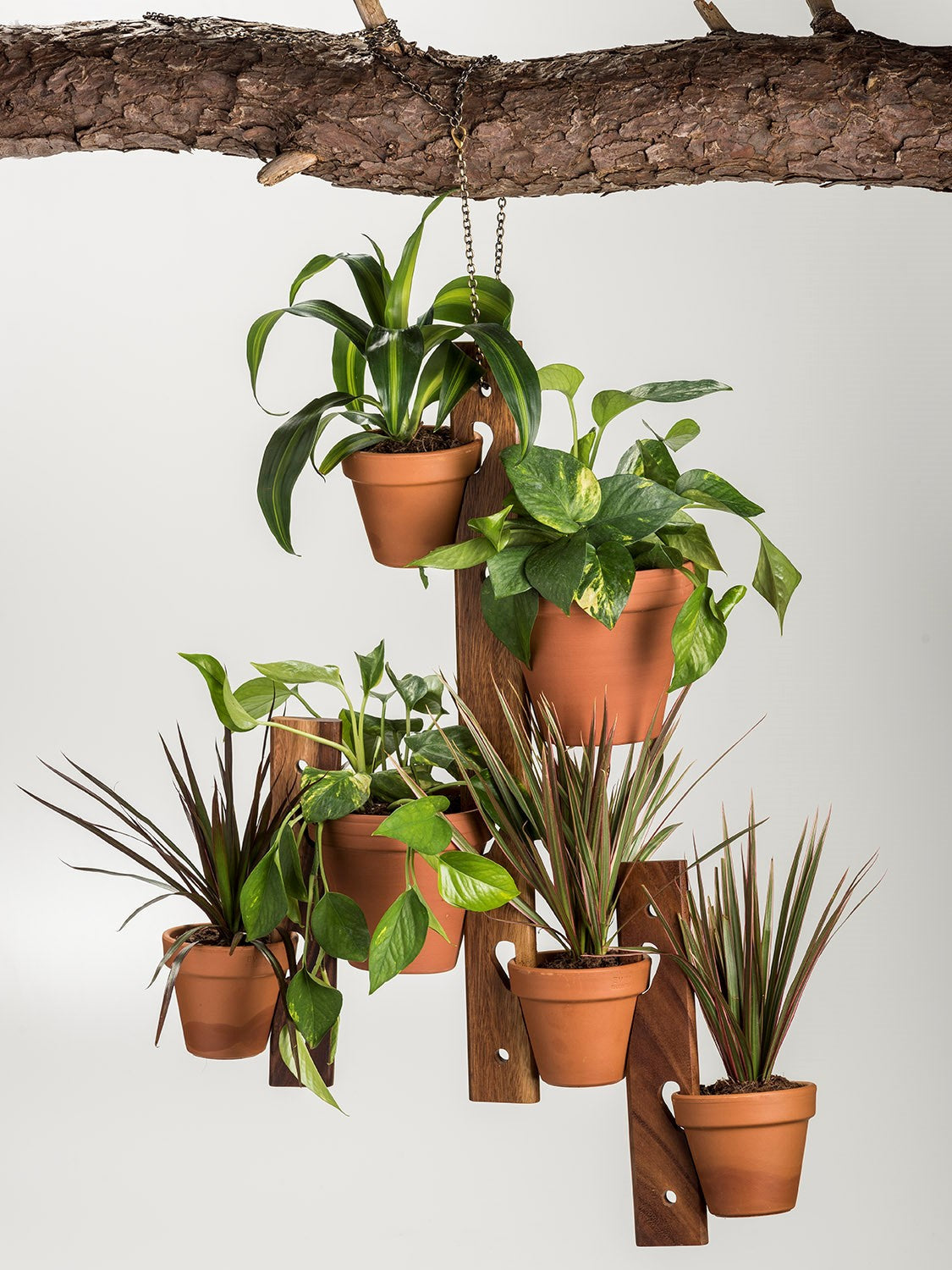 Support de plantes suspendu 6 pots en bois d'acacia – Ensemble de 3 pièces pour intérieur et extérieur