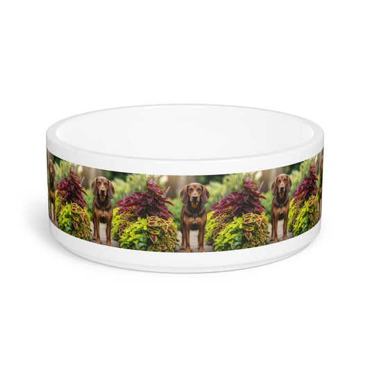 Ceramic Pet Bowl – 16 oz Dog Feeding Bowl