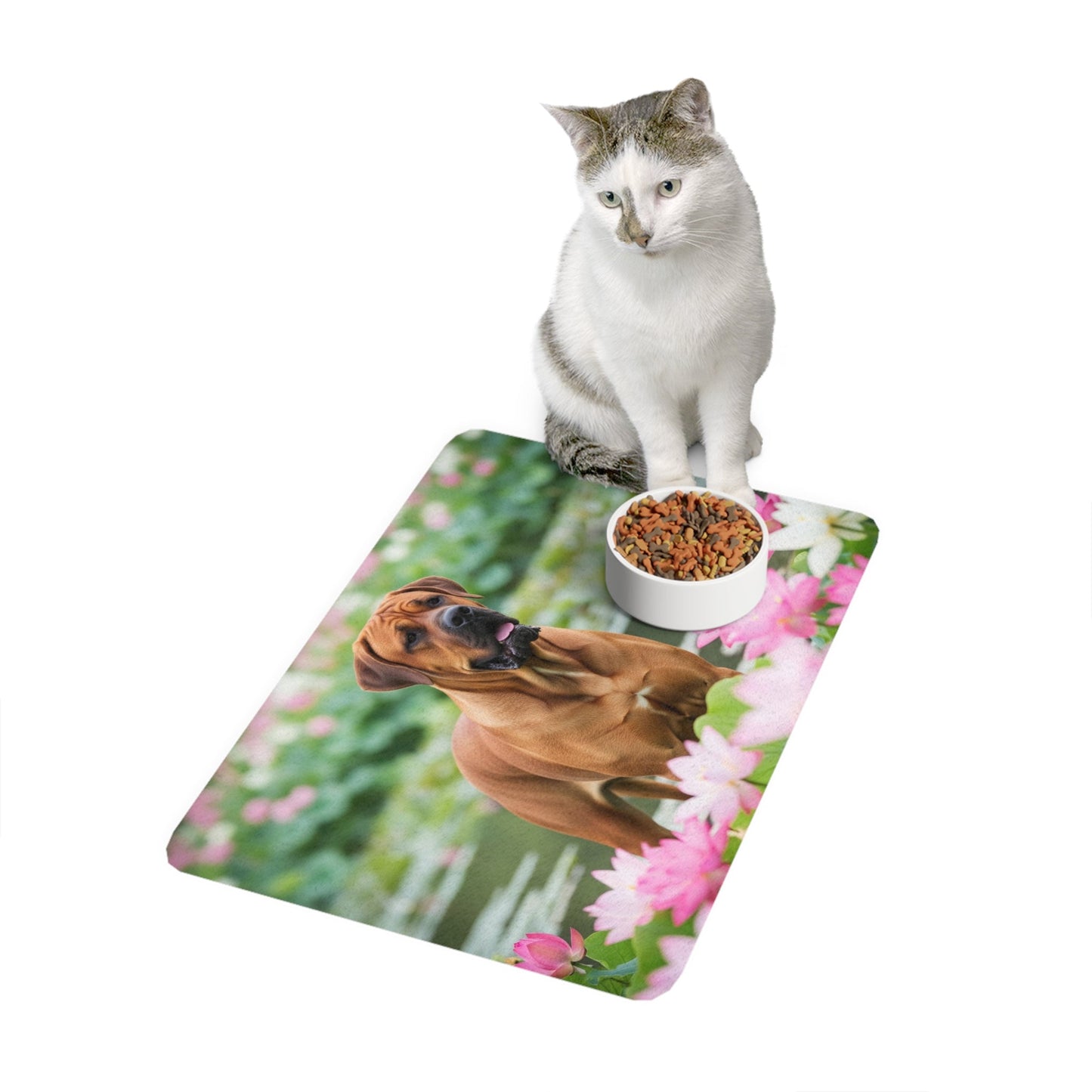 Tapis antidérapant pour animaux de compagnie – Tapis d'alimentation étanche pour chiens