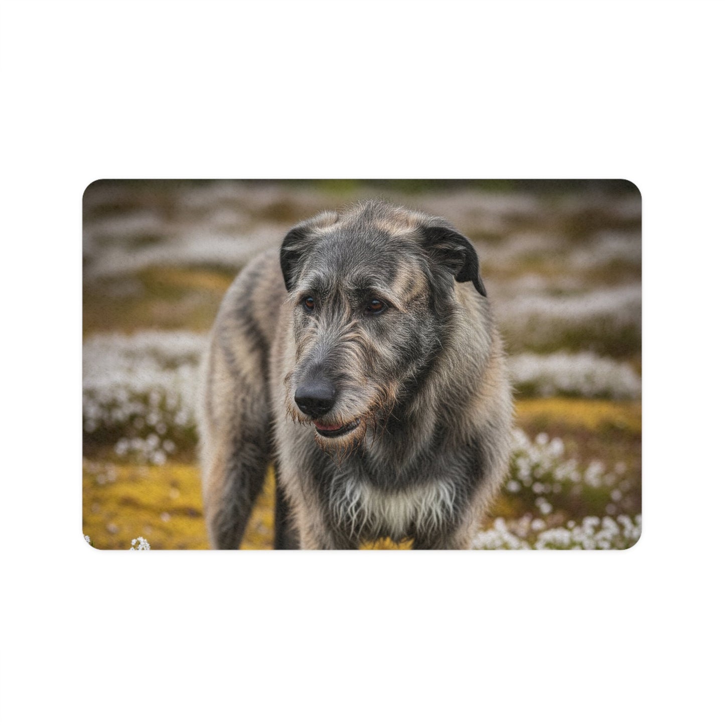 Tapis antidérapant pour animaux de compagnie – Tapis d'alimentation étanche pour chiens