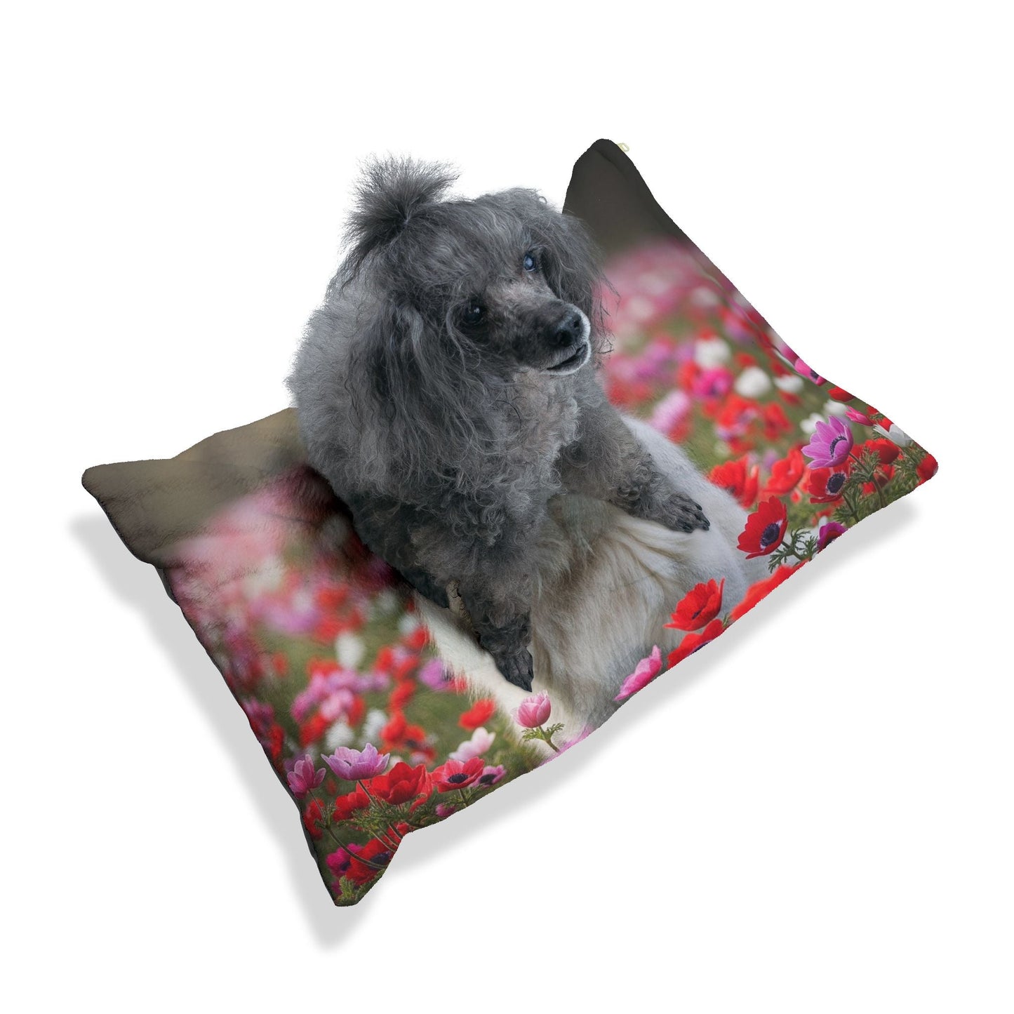 Lit pour animaux de compagnie – Lit douillet pour chien, 3 tailles disponibles