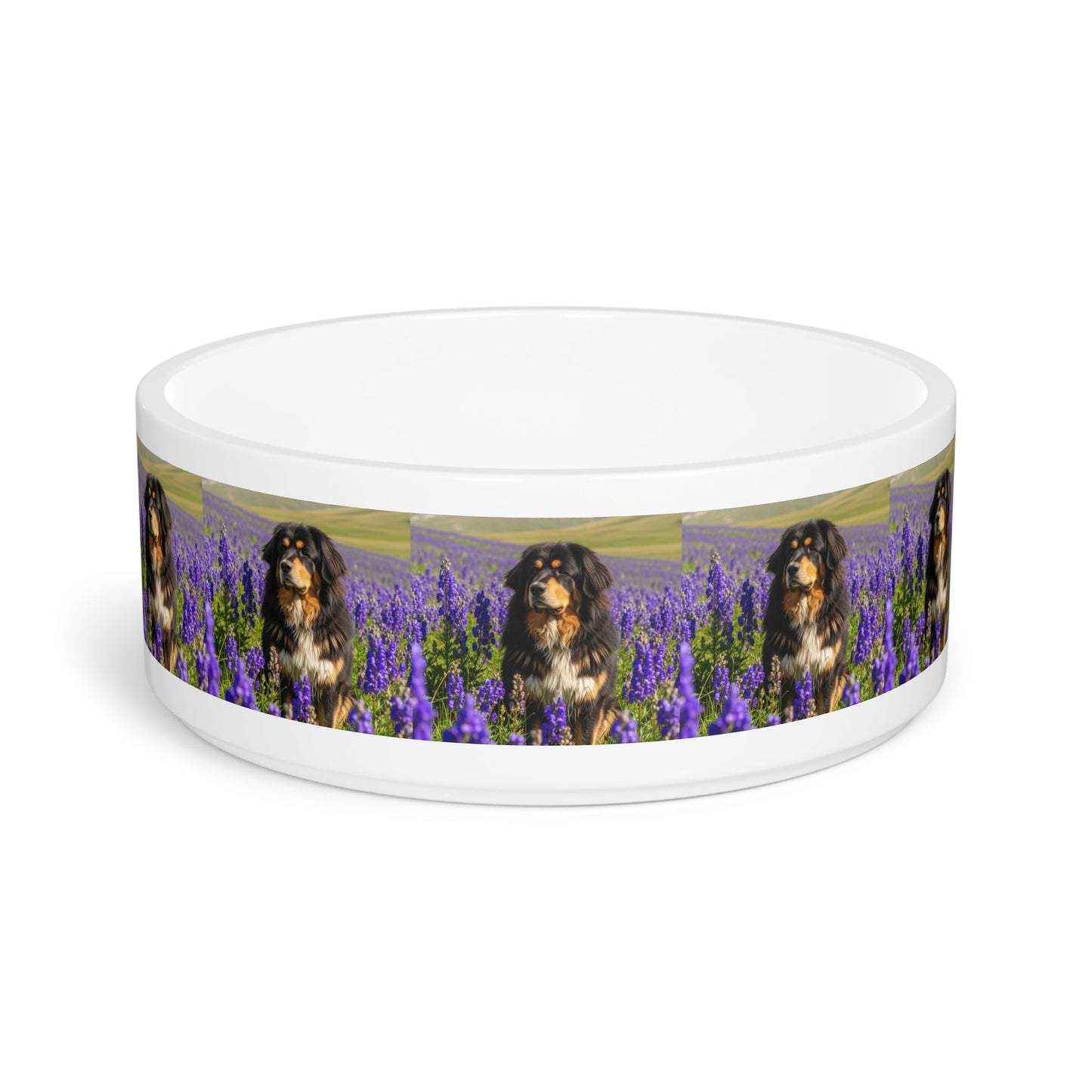 Ceramic Pet Bowl – 16 oz Dog Feeding Bowl