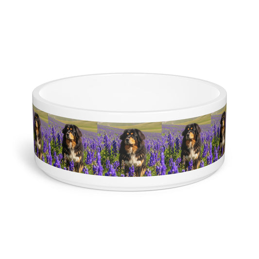 Ceramic Pet Bowl – 16 oz Dog Feeding Bowl