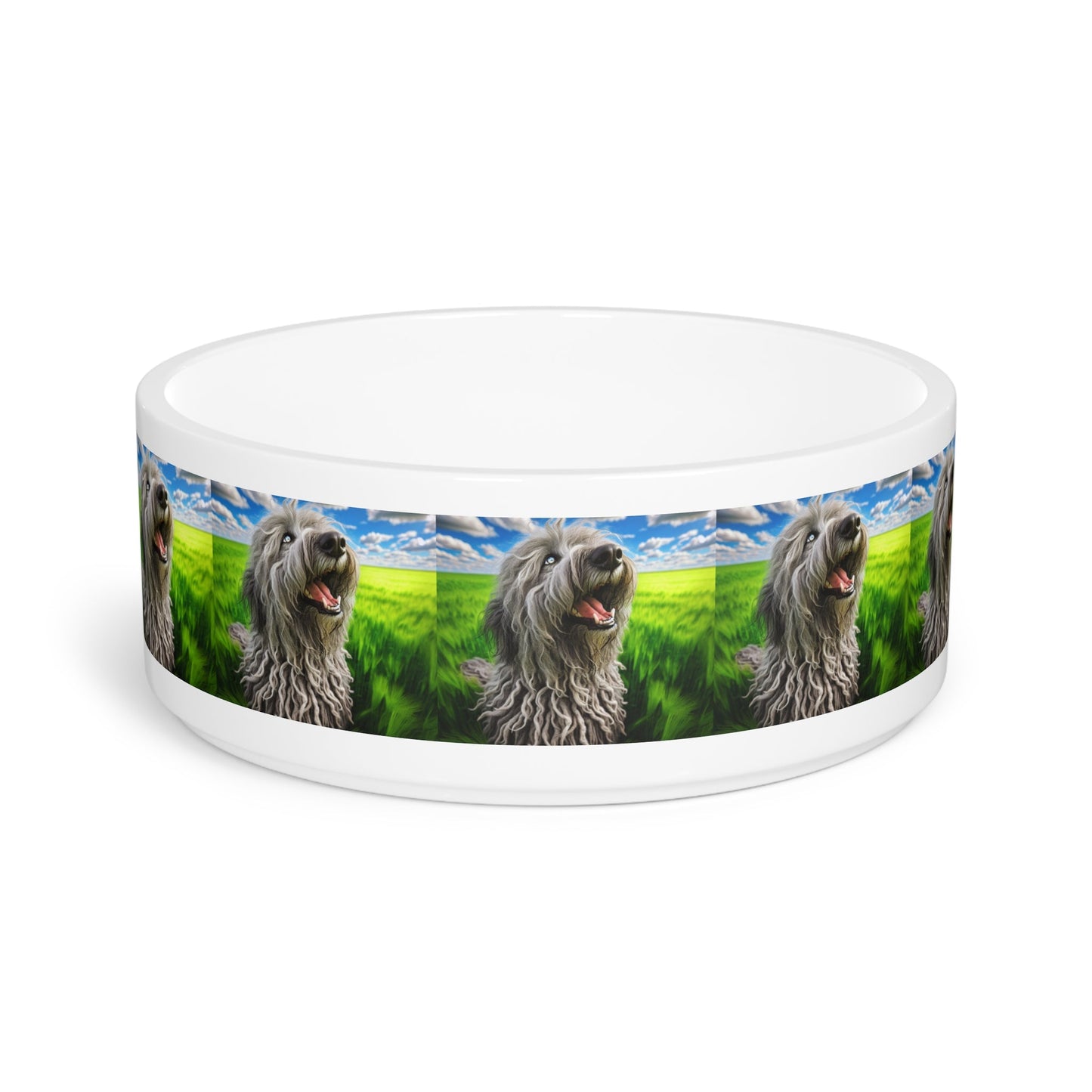 Gamelle en céramique pour animaux de compagnie – Gamelle de 47 cl pour chien