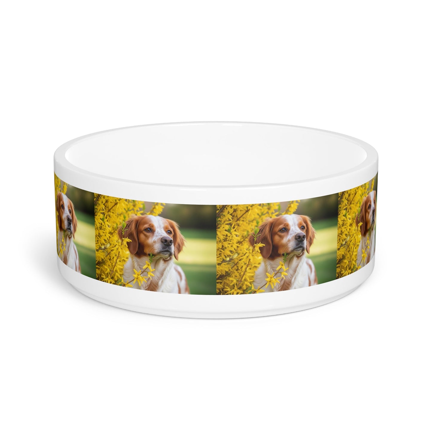 Ceramic Pet Bowl – 16 oz Dog Feeding Bowl