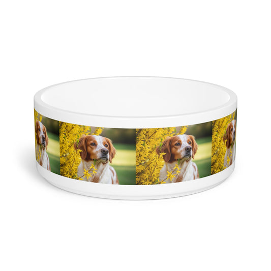Ceramic Pet Bowl – 16 oz Dog Feeding Bowl