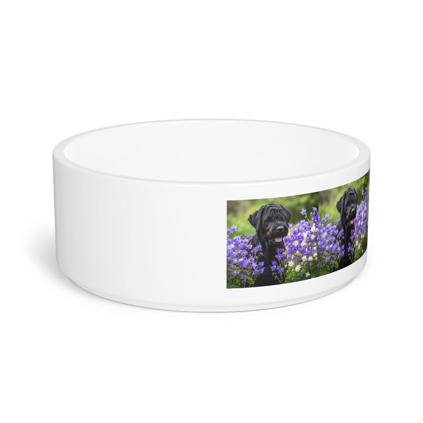 Ceramic Pet Bowl – 16 oz Dog Feeding Bowl