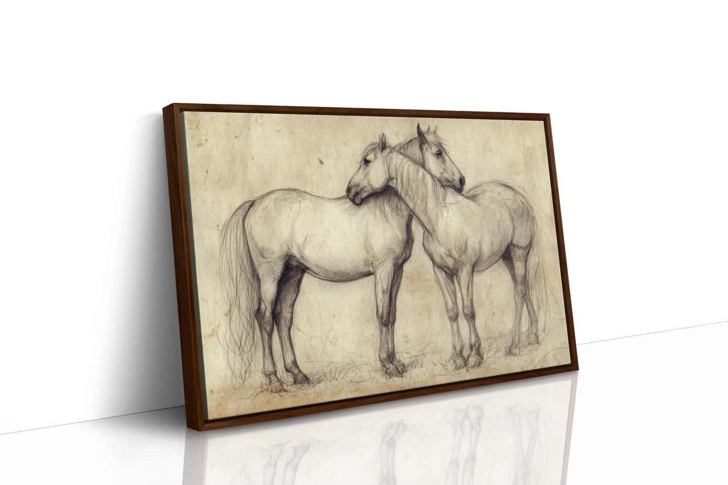 Equine Companionship Study