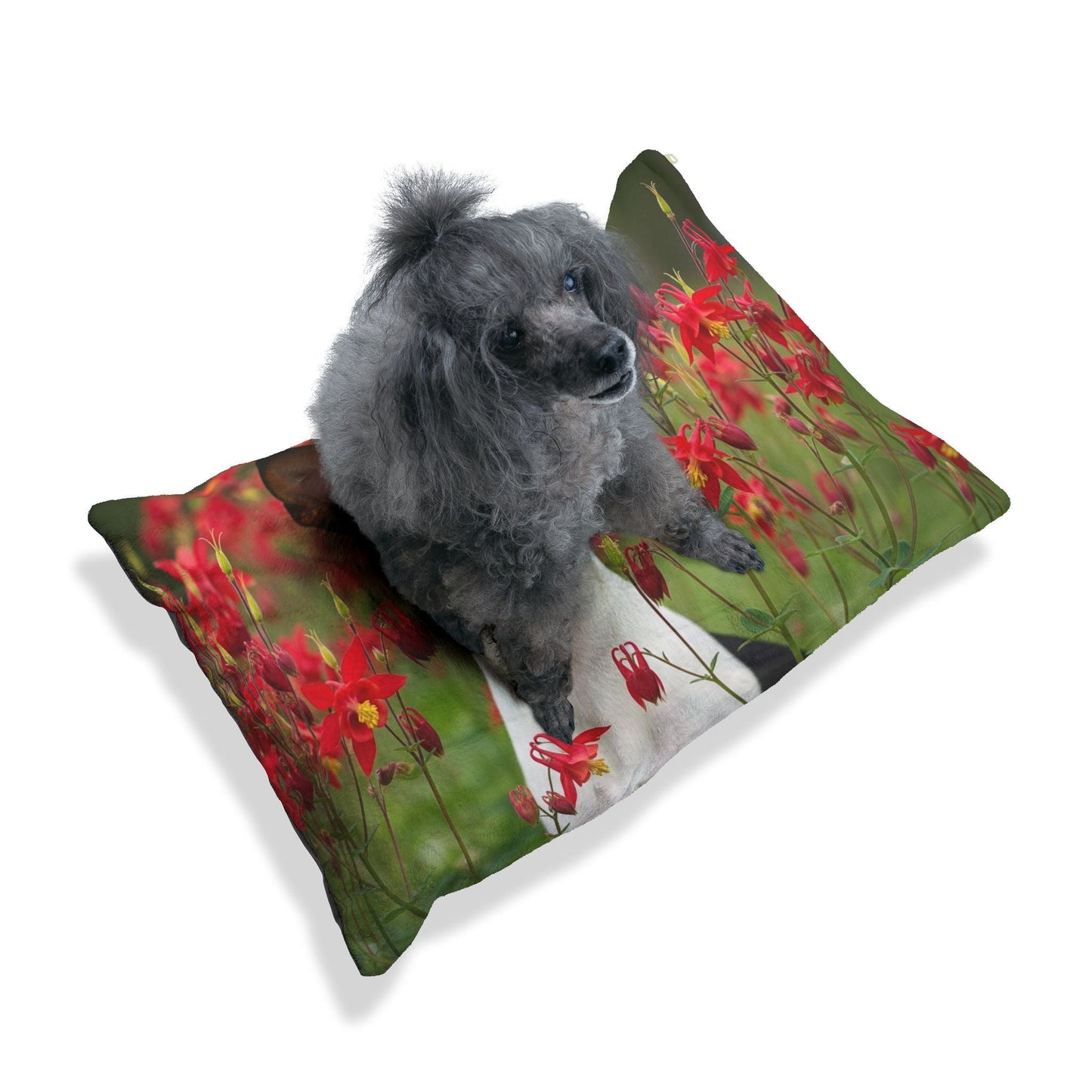 Haustierbett – Plüsch-Hundebett, 3 Größenoptionen