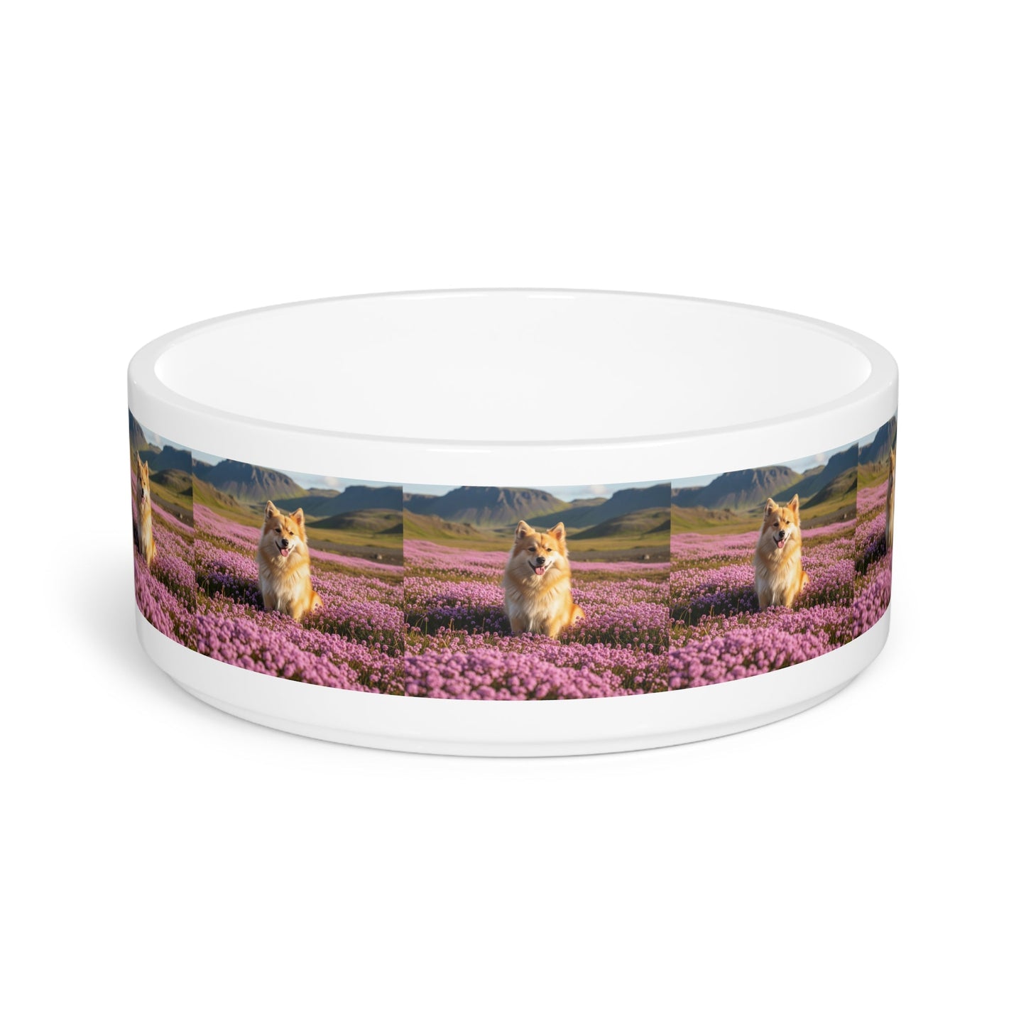 Ceramic Pet Bowl – 16 oz Dog Feeding Bowl