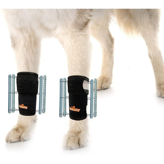 NeoAlly 3-in-1 Vorderbein-Hundeschiene: Starre und Feder-Einsätze, reflektierende Sicherheitsgurte (Paar)