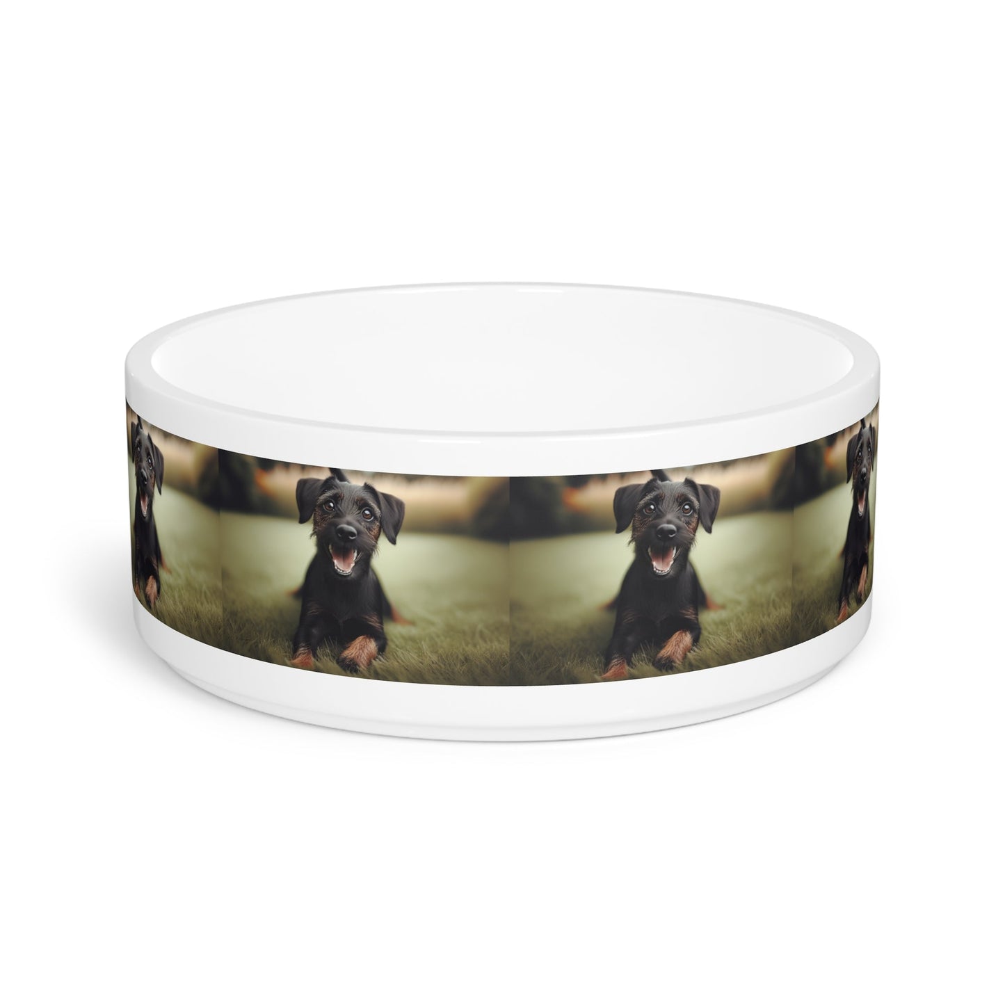 Gamelle en céramique pour animaux de compagnie – Gamelle de 47 cl pour chien