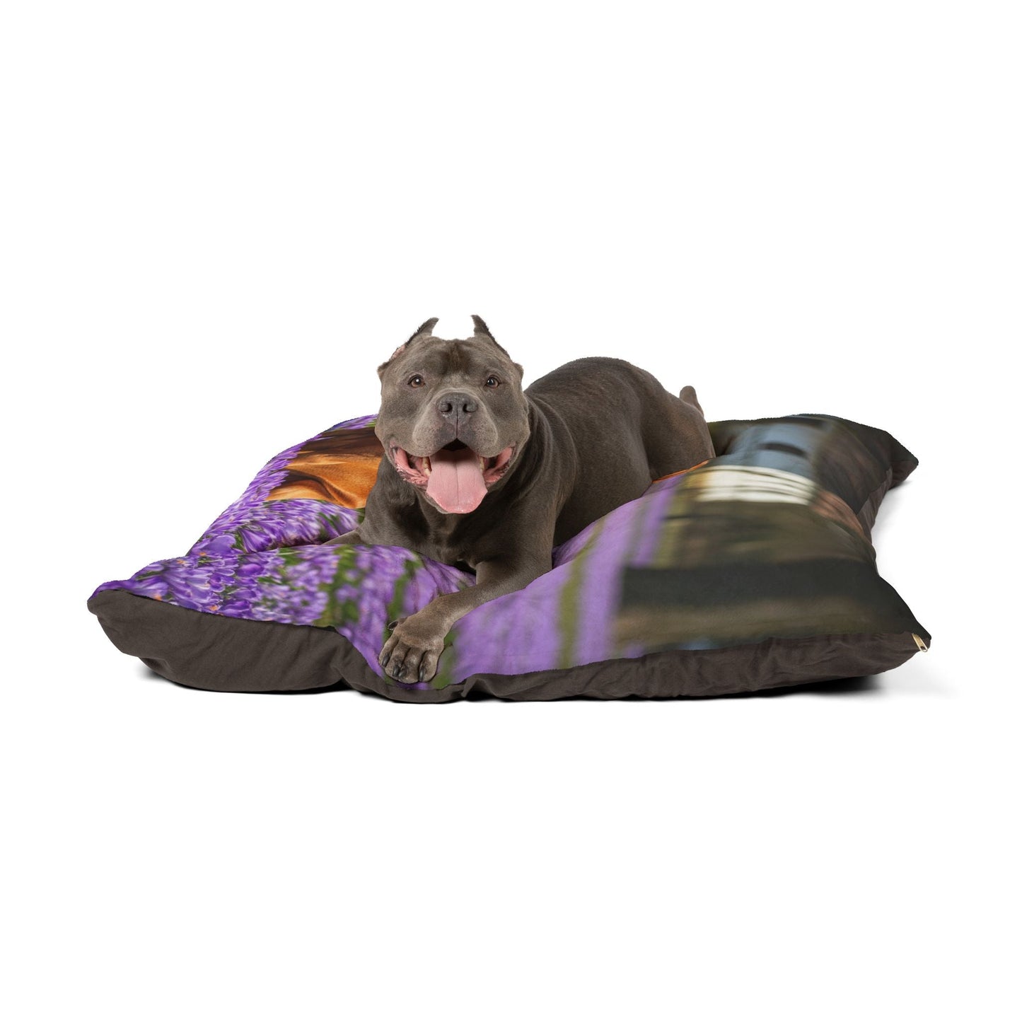 Pet Bed – Plush Dog Bed, 3 Size Options