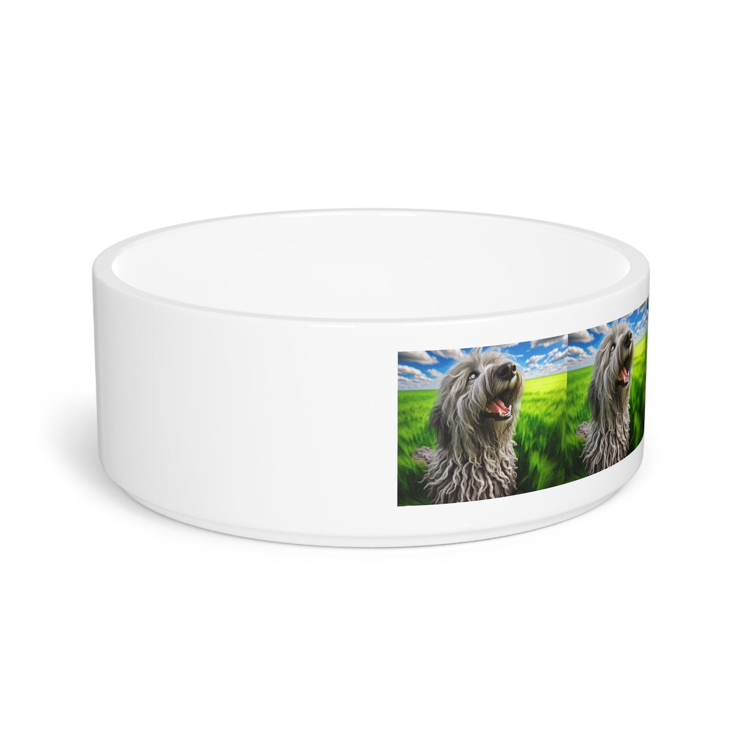 Gamelle en céramique pour animaux de compagnie – Gamelle de 47 cl pour chien