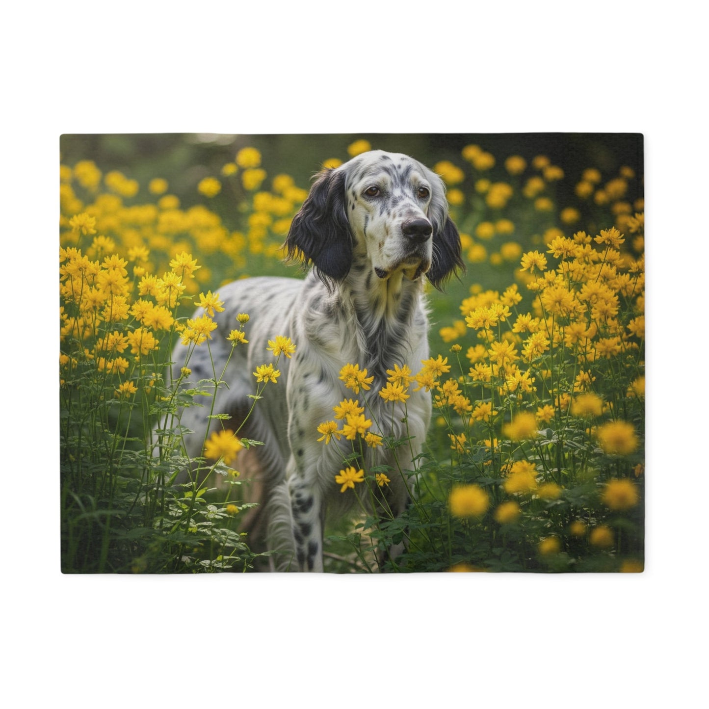 Sweatshirt Blanket – Plush Fleece Throw, 2 Size Options