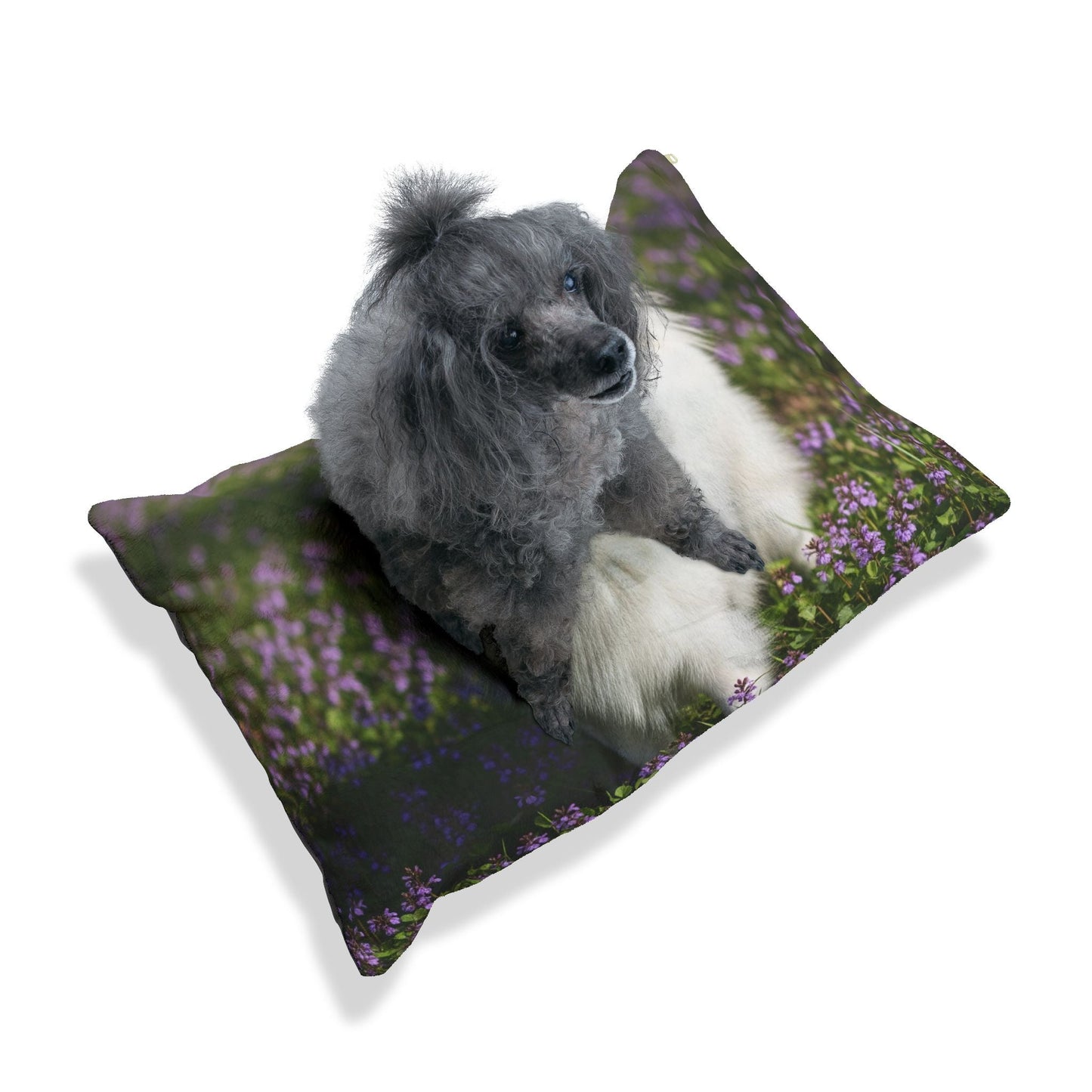 Haustierbett – Plüsch-Hundebett, 3 Größenoptionen