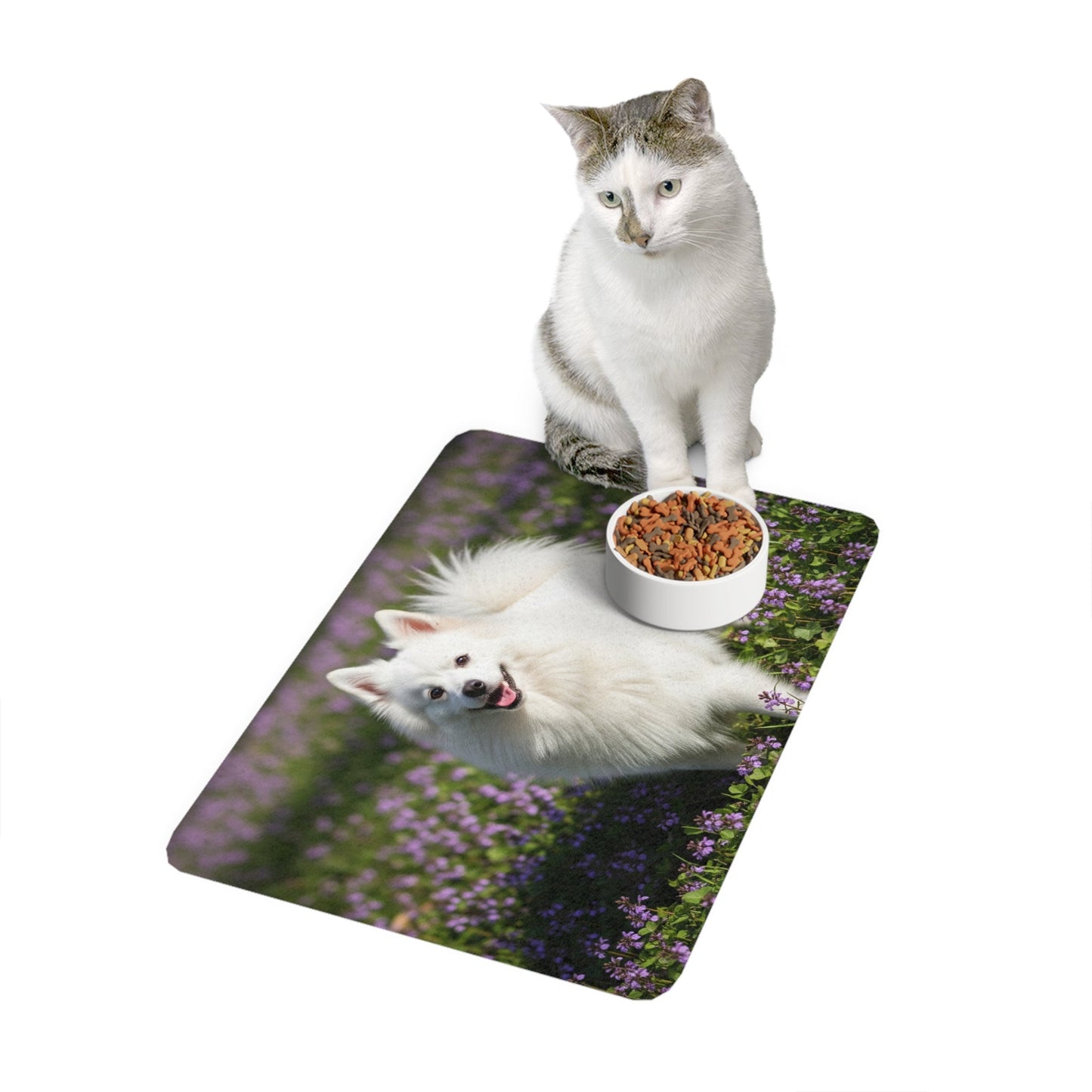 Tapis antidérapant pour animaux de compagnie – Tapis d'alimentation étanche pour chiens