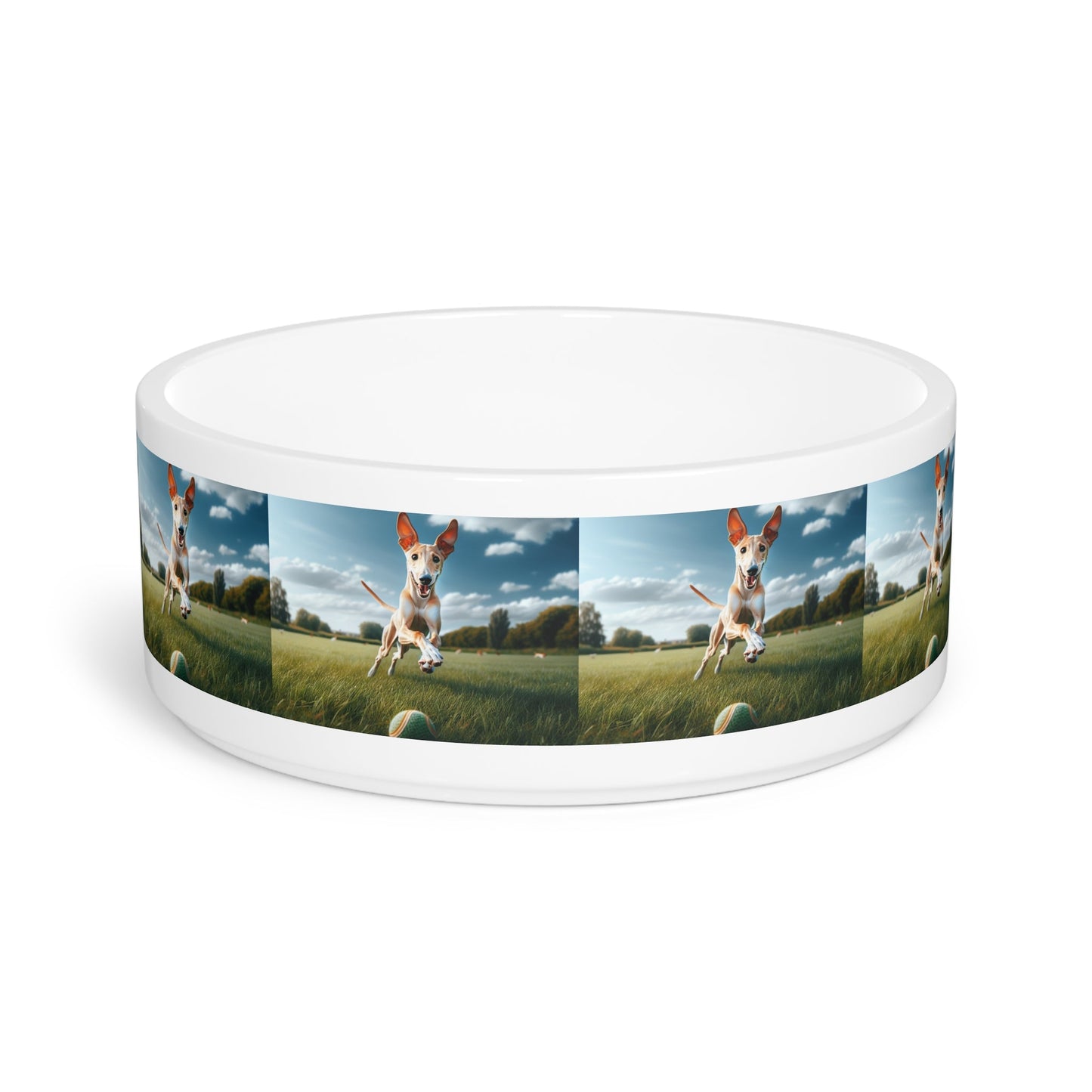Ceramic Pet Bowl – 16 oz Dog Feeding Bowl