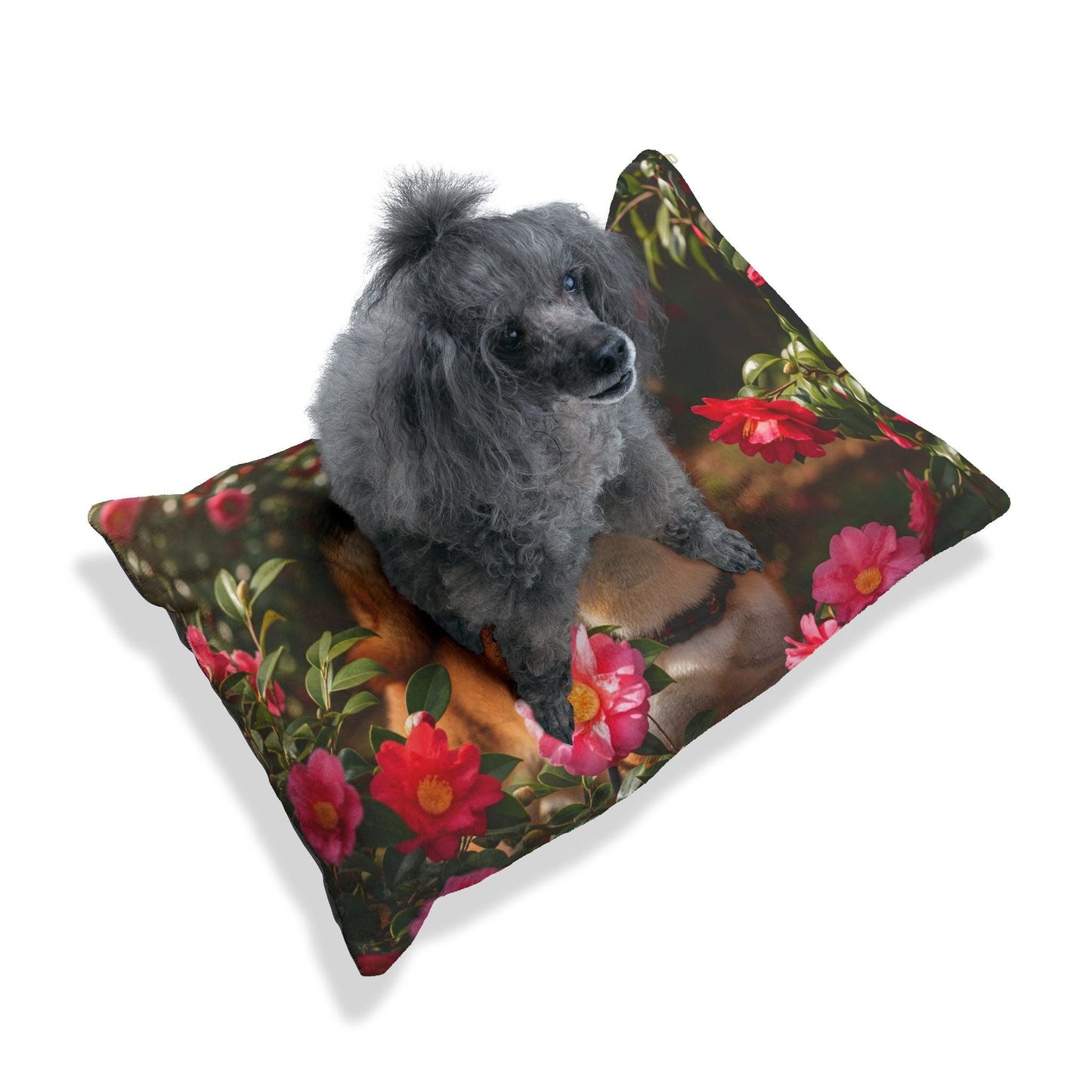 Pet Bed – Plush Dog Bed, 3 Size Options