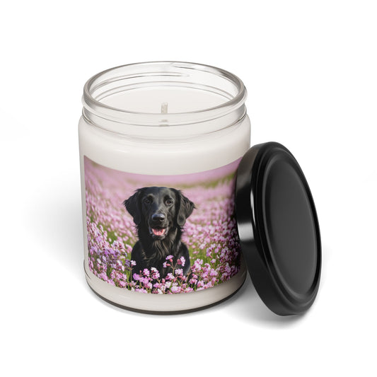 Soy Candle – Scented Jar Candle