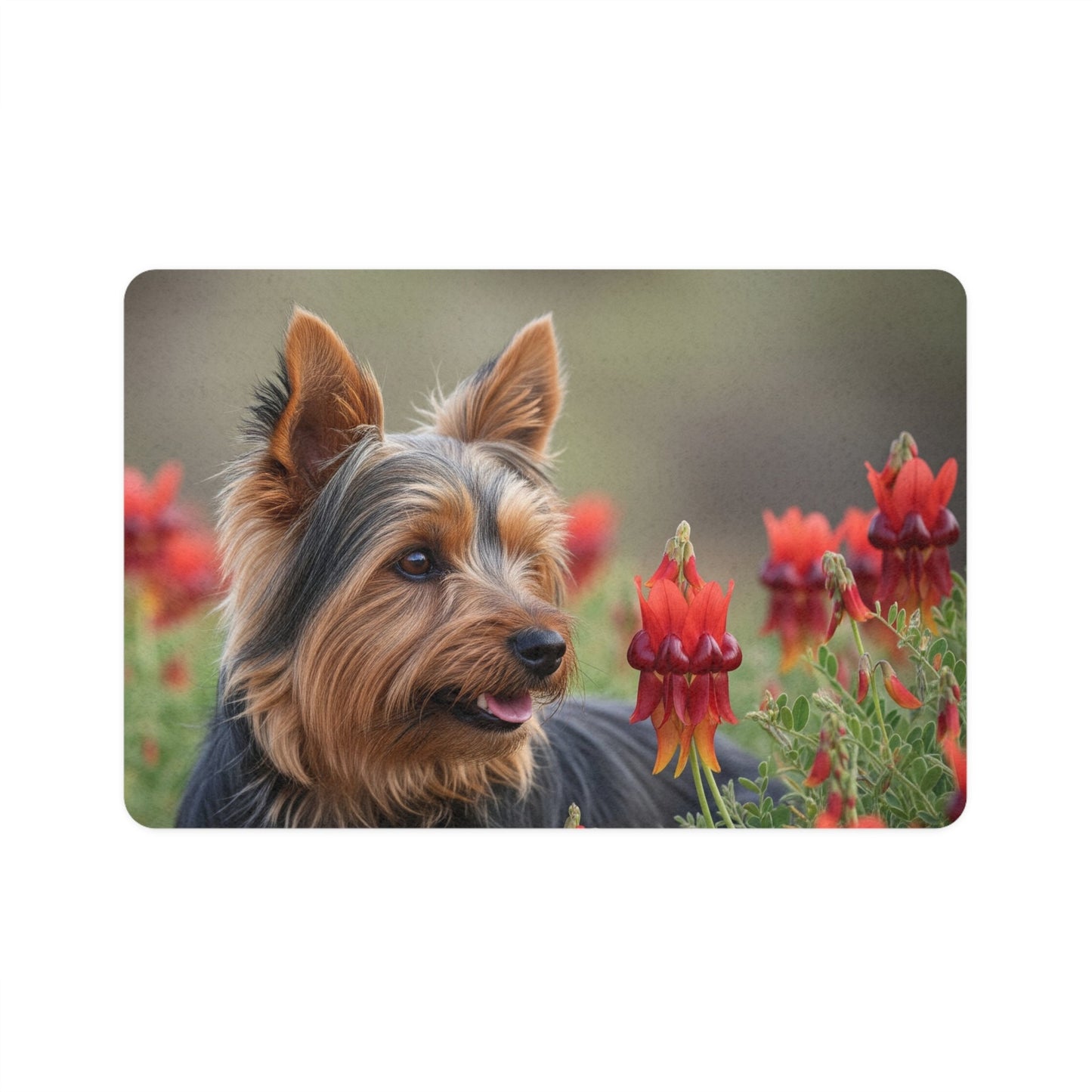 Non-Slip Pet Food Mat – Waterproof Feeding Mat for Dogs