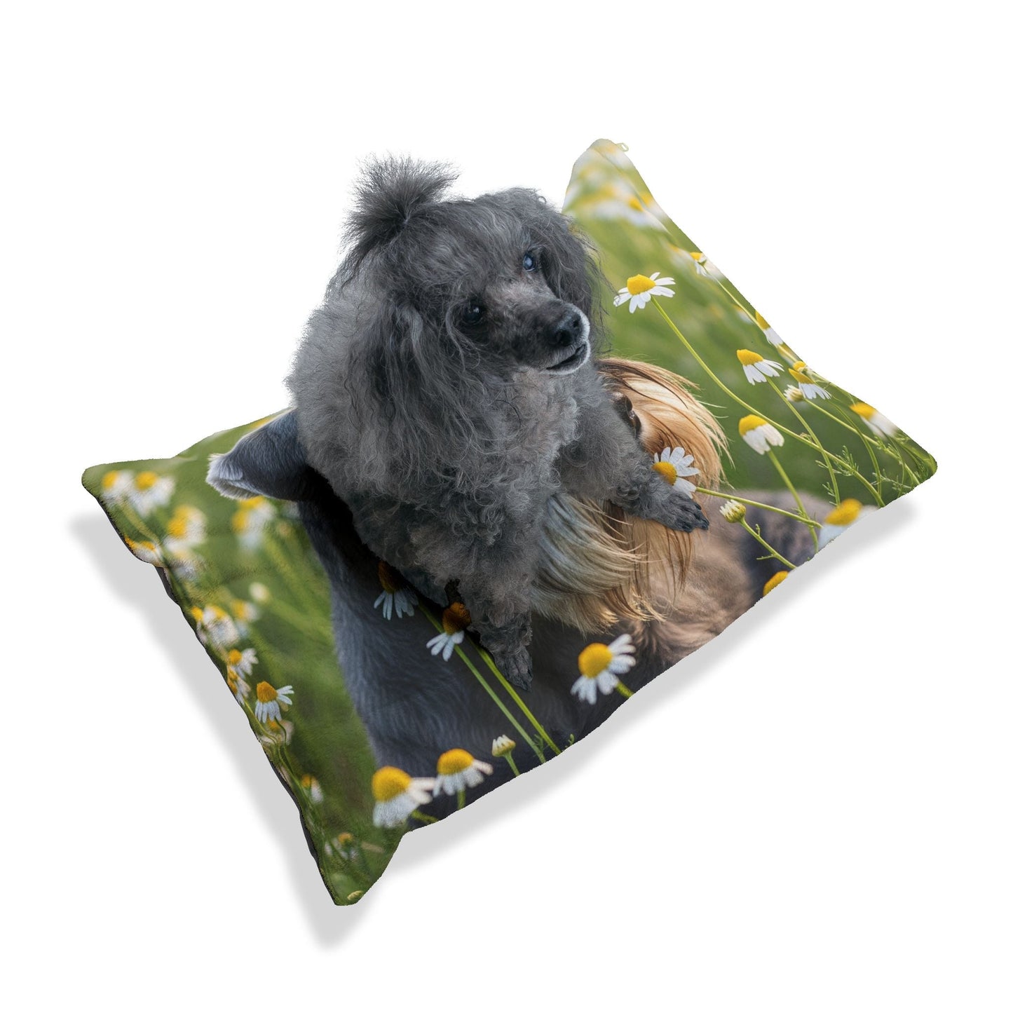 Lit pour animaux de compagnie – Lit douillet pour chien, 3 tailles disponibles