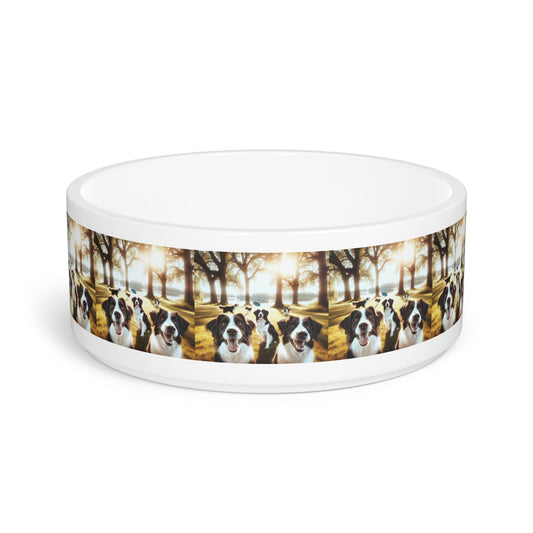 Gamelle en céramique pour animaux de compagnie – Gamelle de 47 cl pour chien