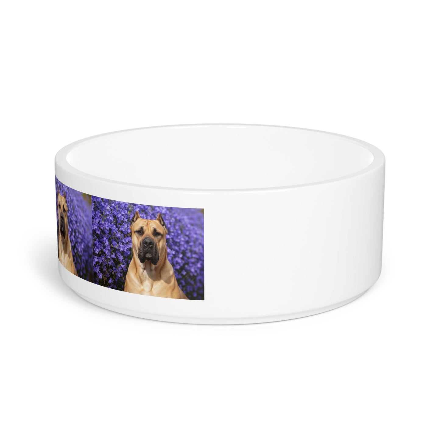 Ceramic Pet Bowl – 16 oz Dog Feeding Bowl