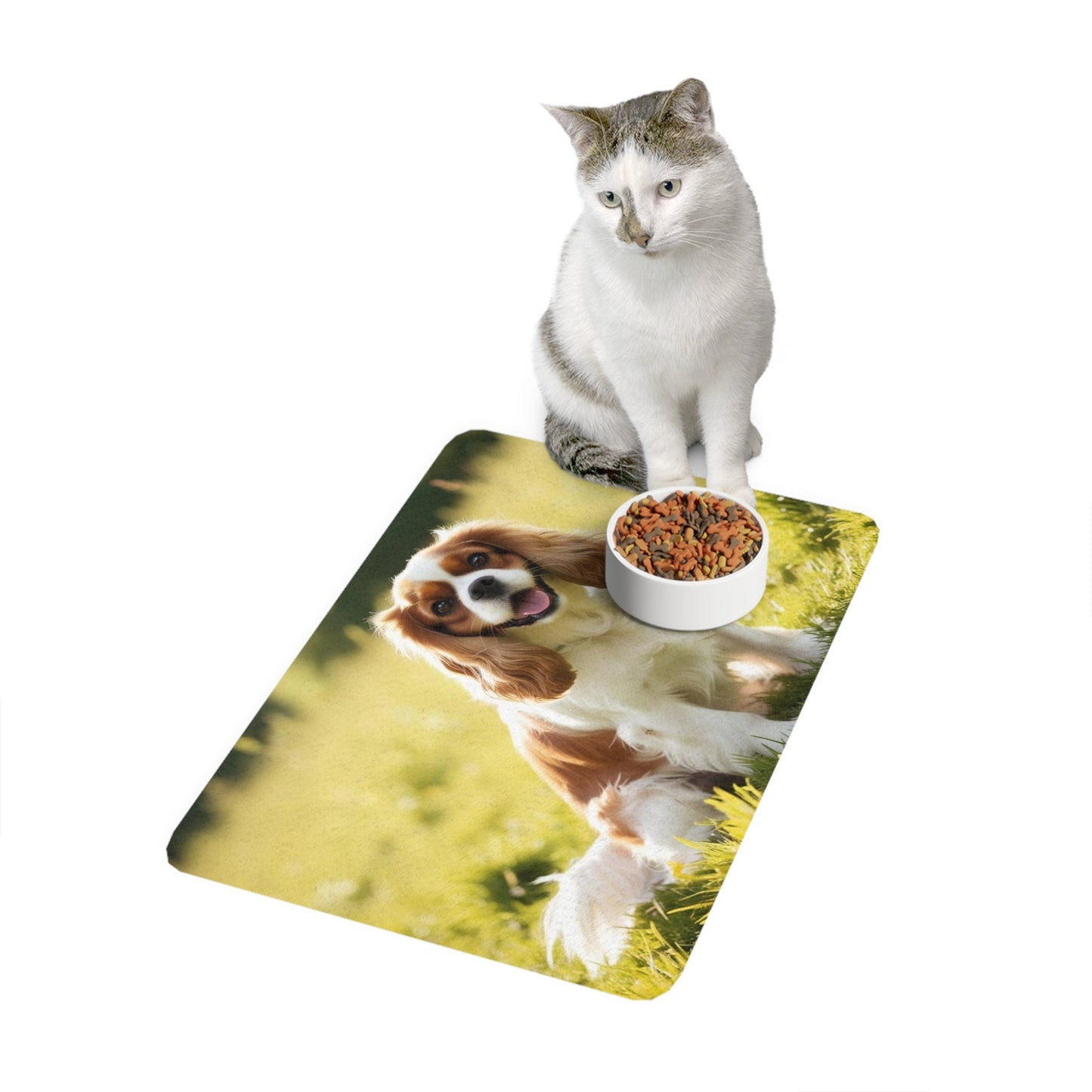 Tapis antidérapant pour animaux de compagnie – Tapis d'alimentation étanche pour chiens