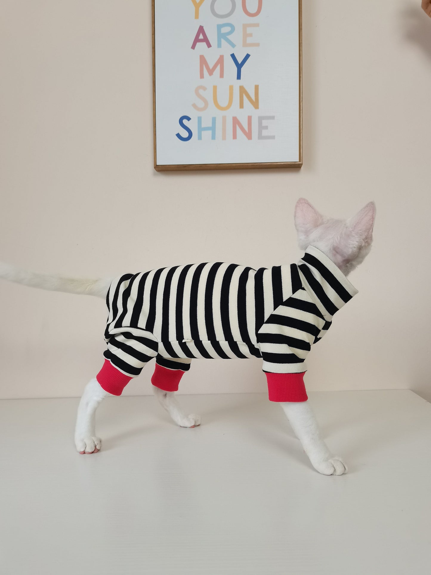 Belly-protecting Four-legged High-elasticity Fur-free Cat Clothing