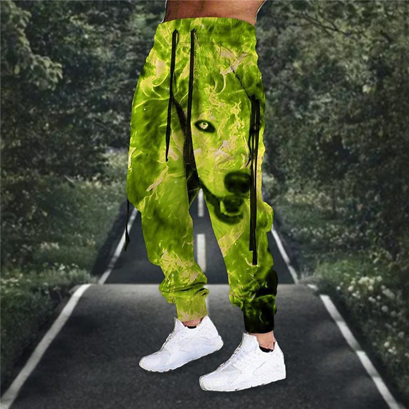 Drawstring Elastic Waist Retro Harem Pants With 3D Animal Print Mens Athletic Trousers
