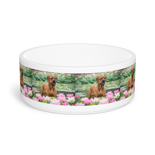 Ceramic Pet Bowl – 16 oz Dog Feeding Bowl