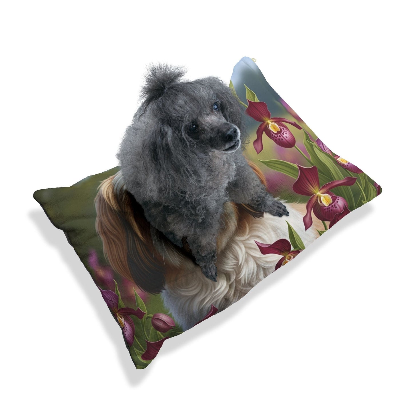 Hundebett – Plüsch-Hundebett, 3 Größenoptionen