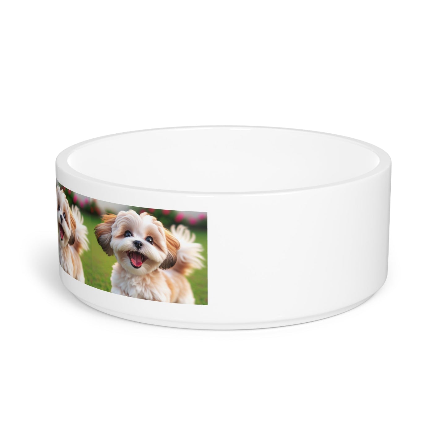 Gamelle en céramique pour animaux de compagnie – Gamelle de 47 cl pour chien