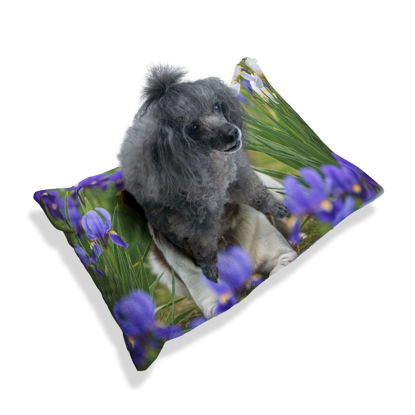 Lit pour animaux de compagnie – Lit douillet pour chien, 3 tailles disponibles