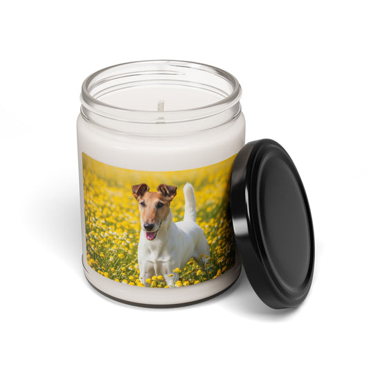 Soy Candle – Scented Jar Candle