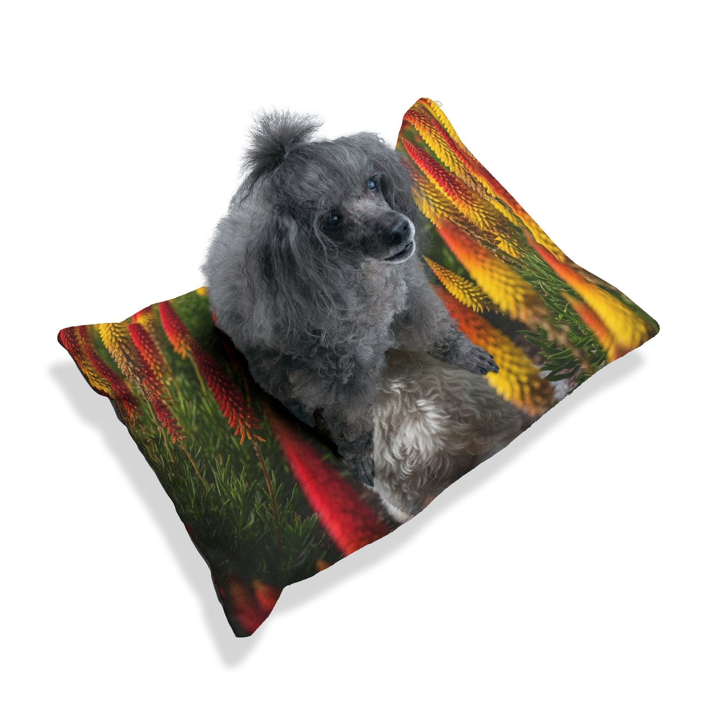 Pet Bed – Plush Dog Bed, 3 Size Options