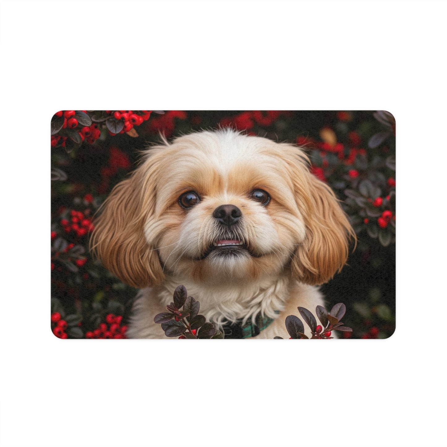 Tapis antidérapant pour animaux de compagnie – Tapis d'alimentation étanche pour chiens