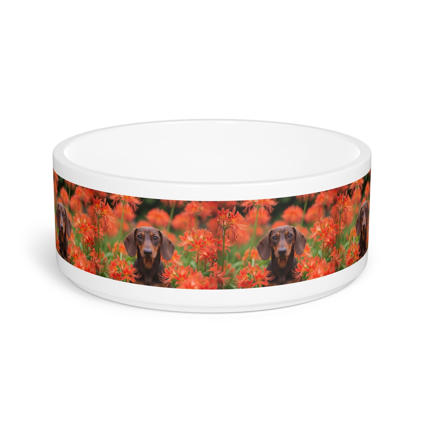 Ceramic Pet Bowl – 16 oz Dog Feeding Bowl