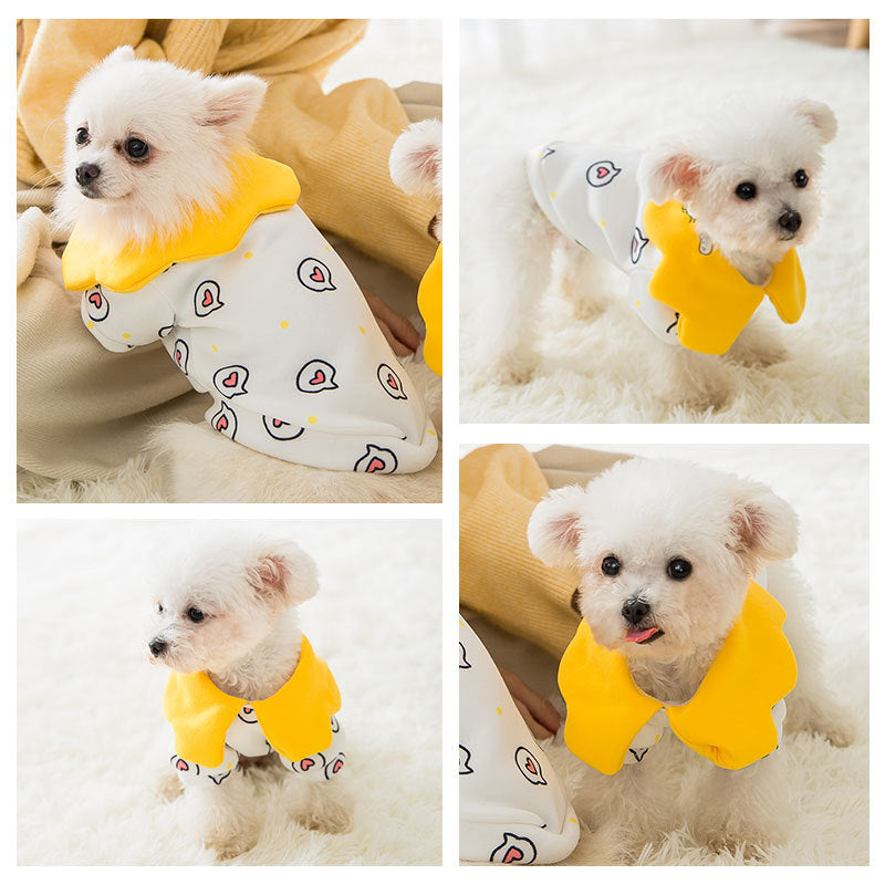 Cat pet clothes