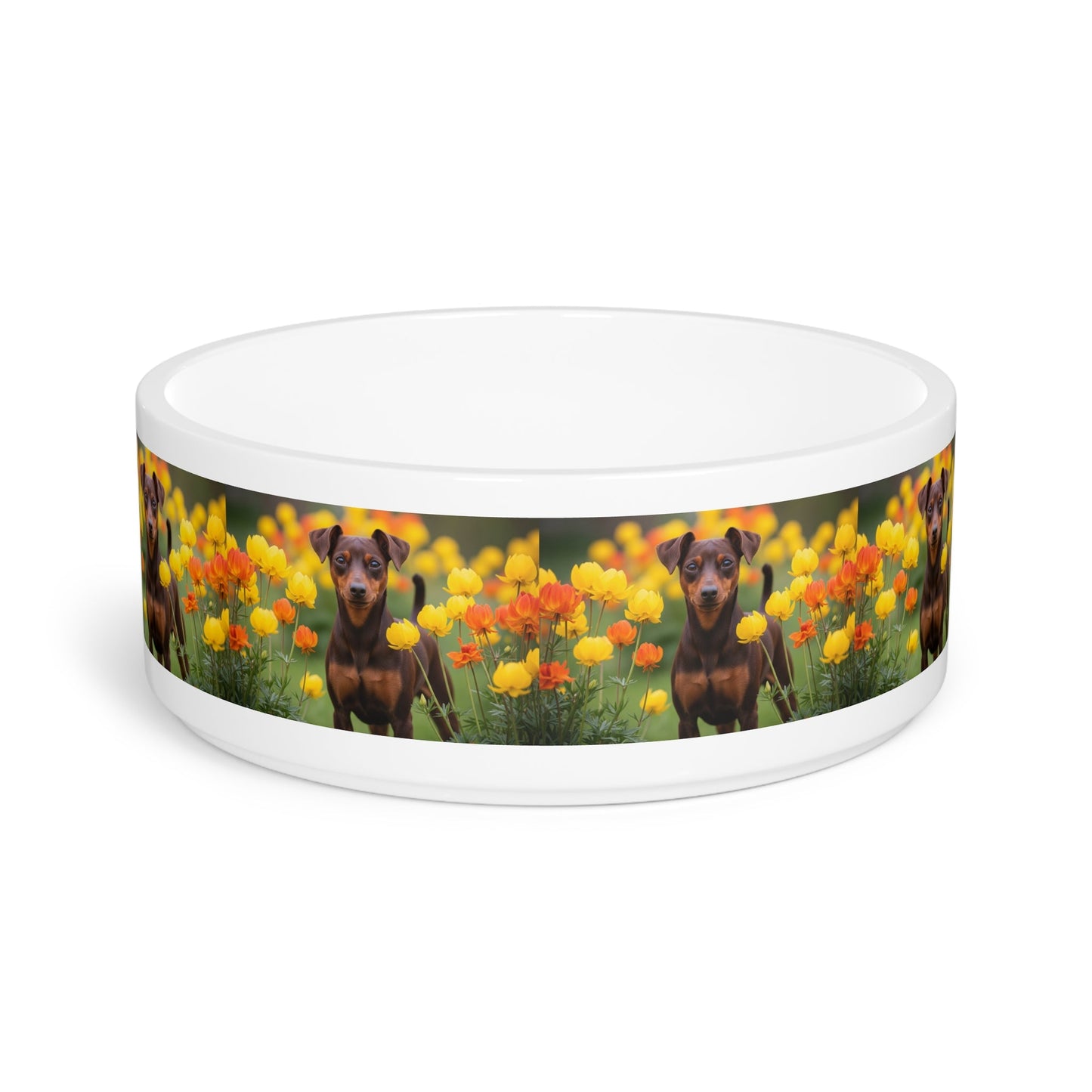 Ceramic Pet Bowl – 16 oz Dog Feeding Bowl