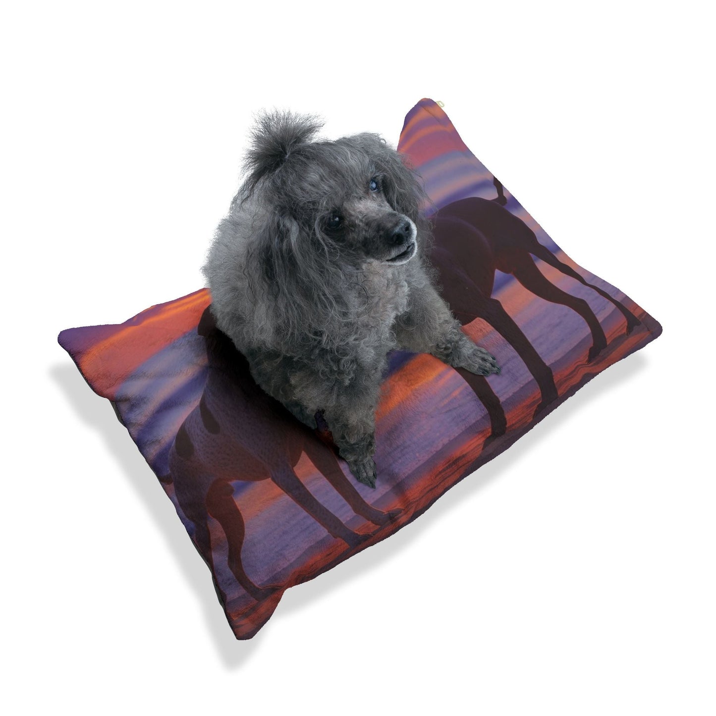 Lit pour animaux de compagnie – Lit douillet pour chien, 3 tailles disponibles