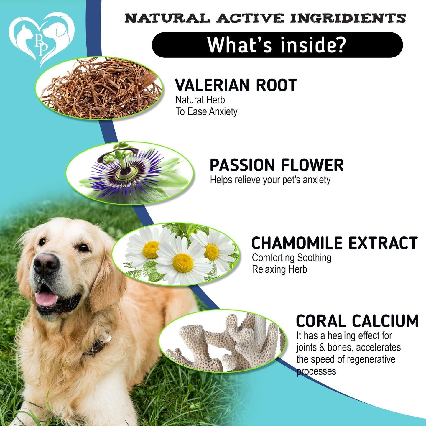 Hemp Calming Chews for Dogs Separation Anxiety Relief