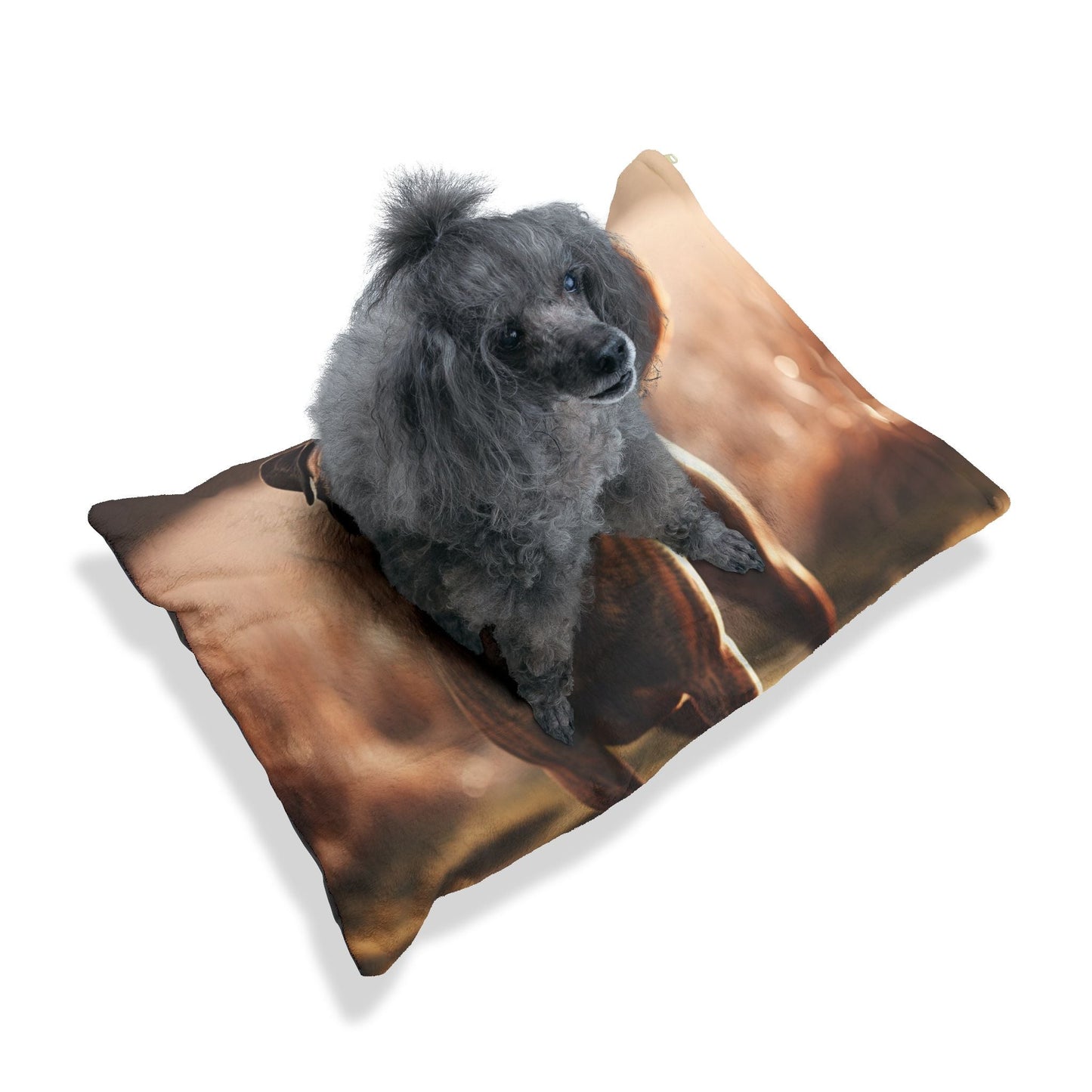 Lit pour animaux de compagnie – Lit douillet pour chien, 3 tailles disponibles