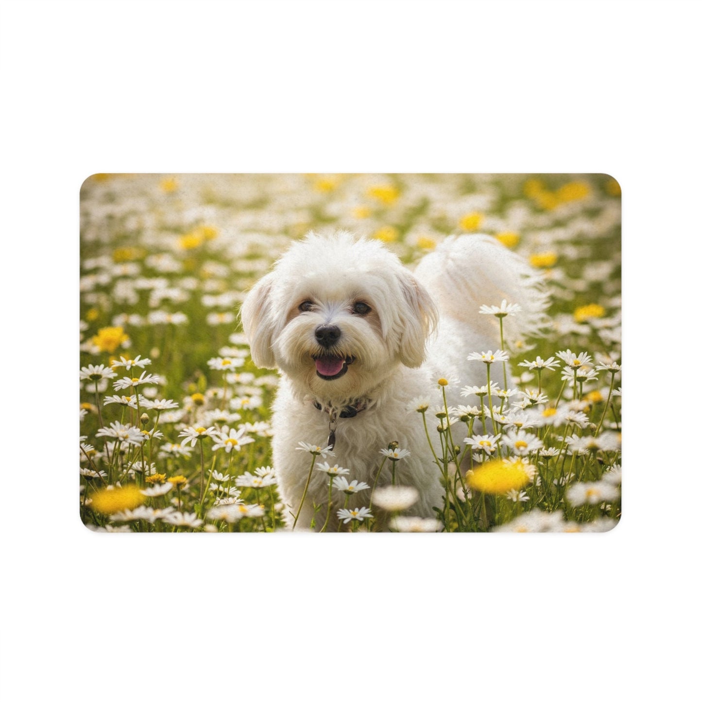 Tapis antidérapant pour animaux de compagnie – Tapis d'alimentation étanche pour chiens