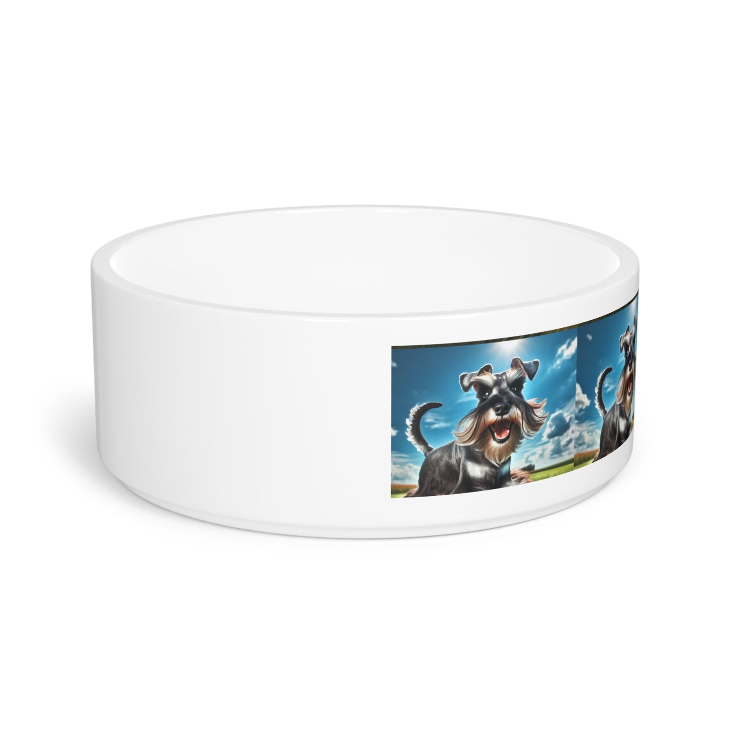 Ceramic Pet Bowl – 16 oz Dog Feeding Bowl