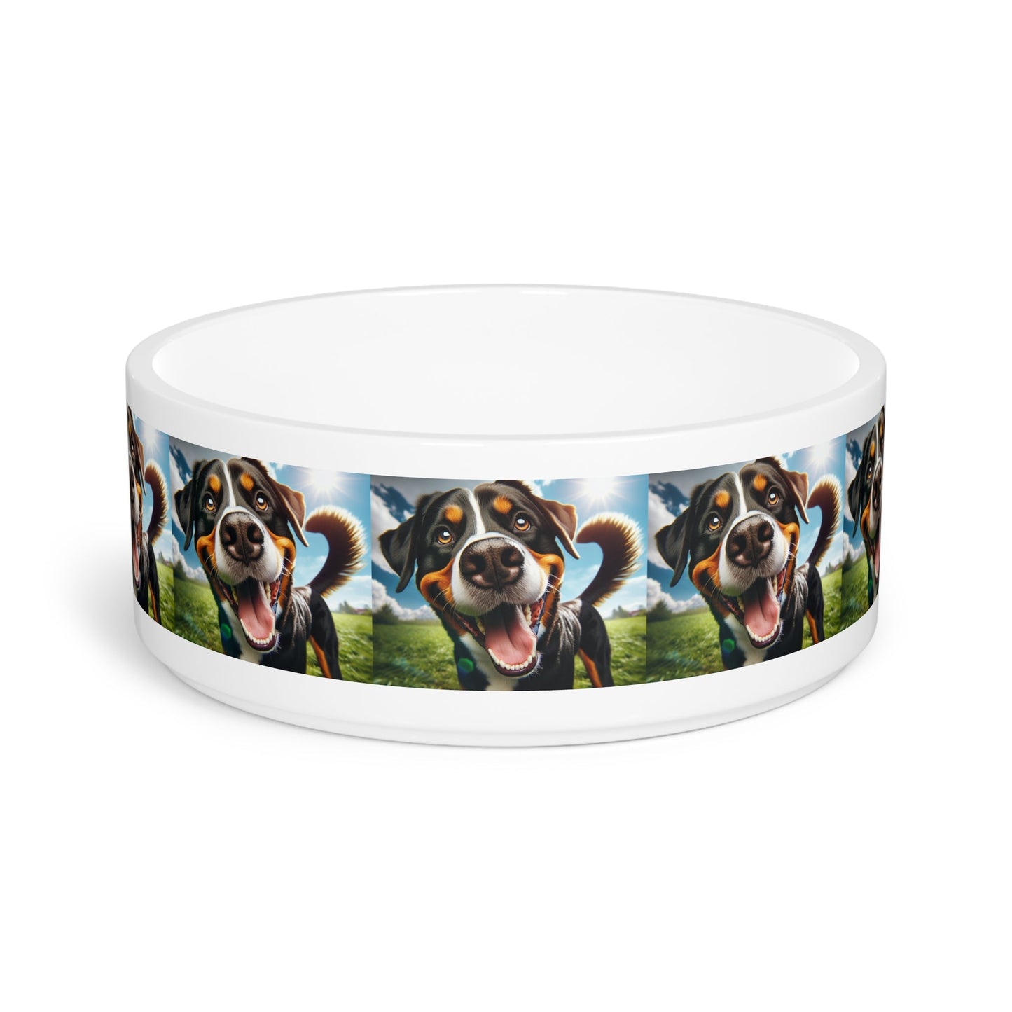 Ceramic Pet Bowl – 16 oz Dog Feeding Bowl