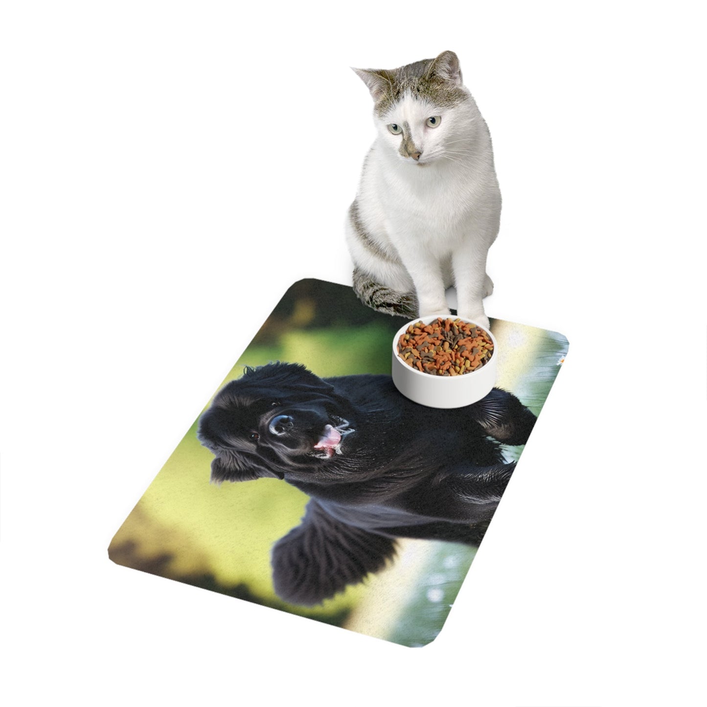 Non-Slip Pet Food Mat – Waterproof Feeding Mat for Dogs
