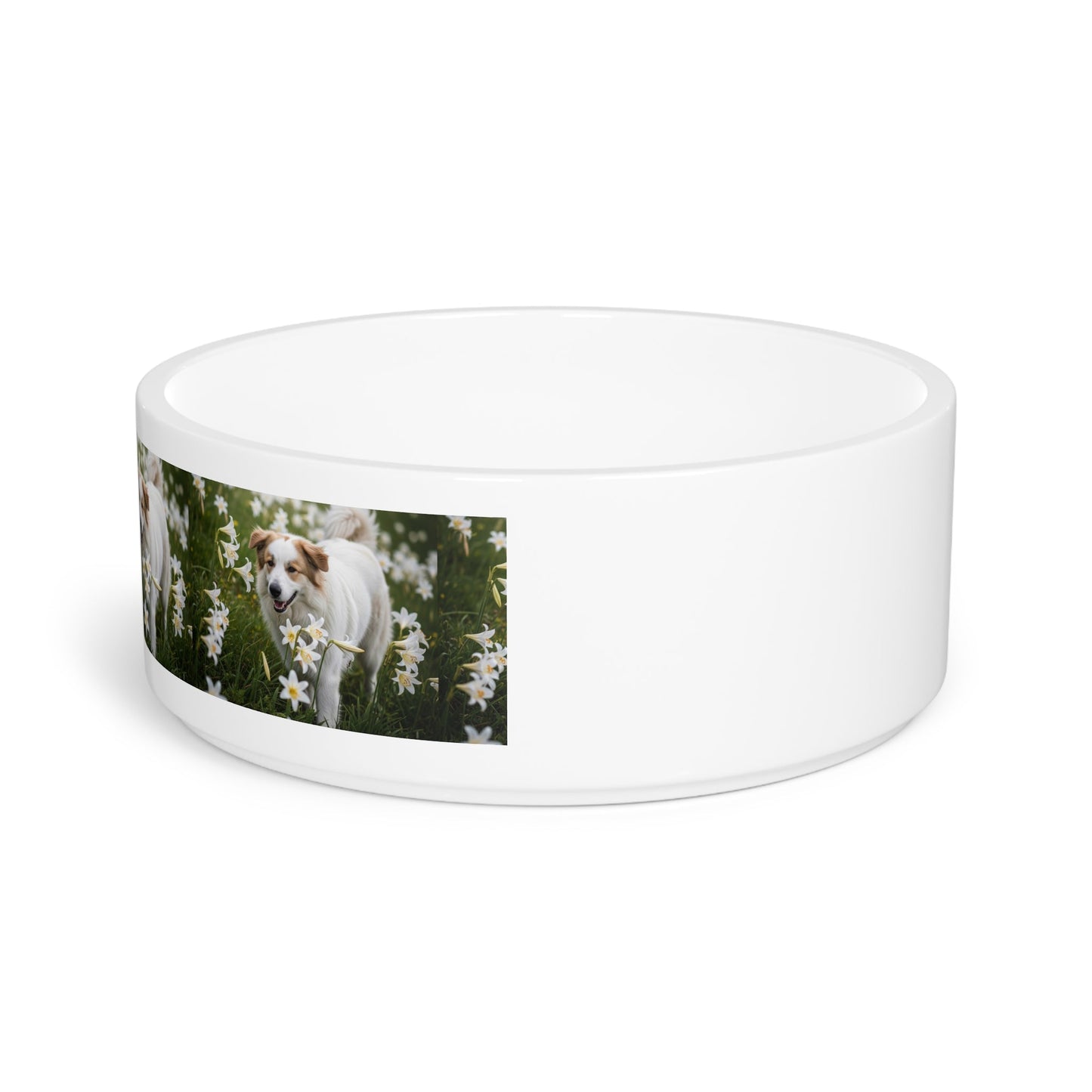 Ceramic Pet Bowl – 16 oz Dog Feeding Bowl