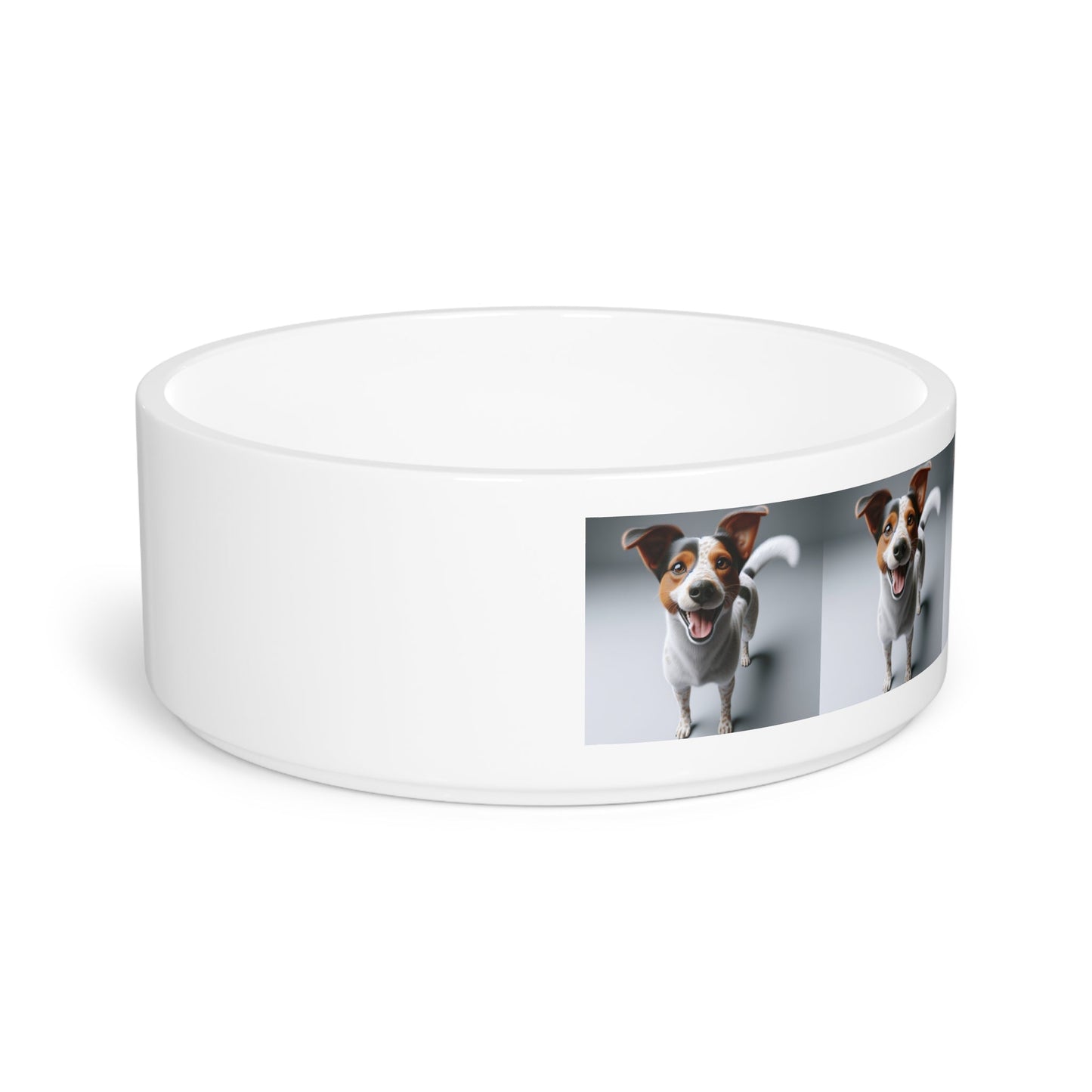 Ceramic Pet Bowl – 16 oz Dog Feeding Bowl